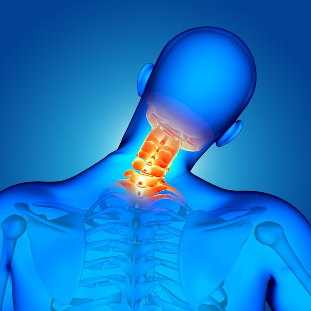 Figura maschio medica 3D con le ossa del collo evidenziate