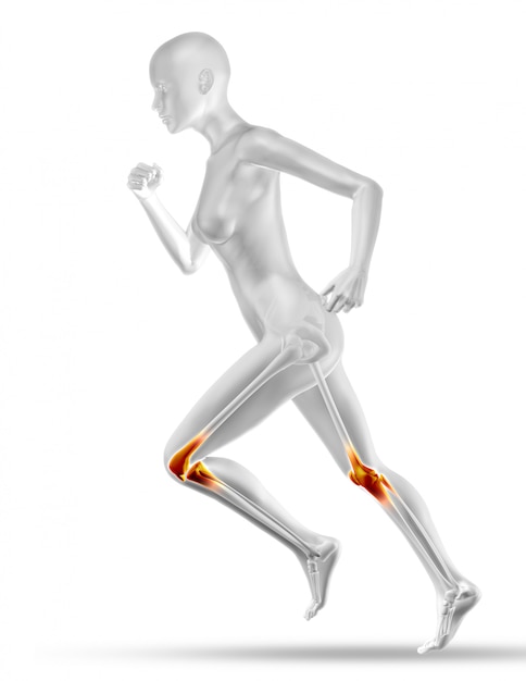 Figura medica femminile 3D con jogging a mappa muscolare parziale