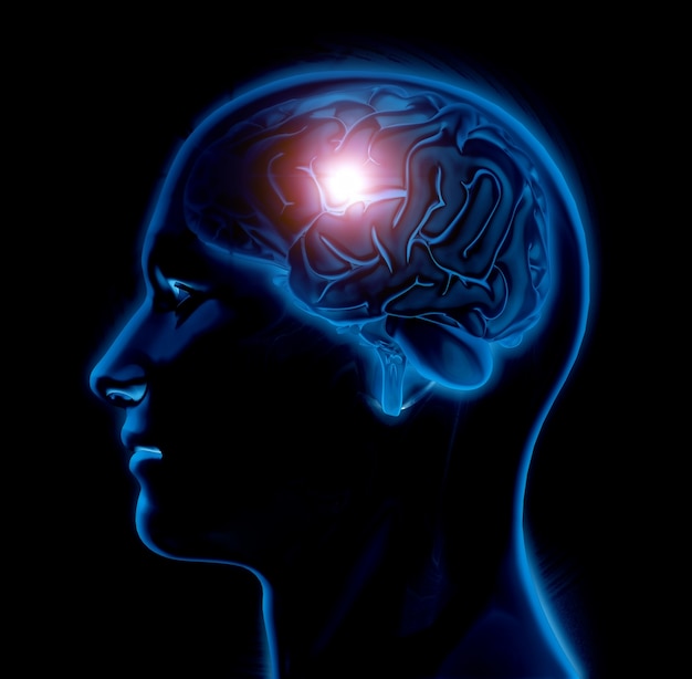 Figura medica maschio 3D con il cervello evidenziato