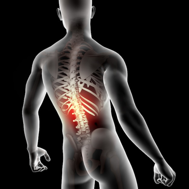 Figura medica maschio 3D con la spina dorsale evidenziata