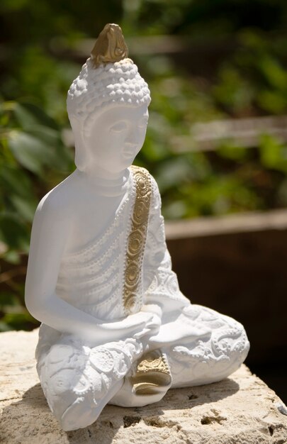 Figurina di Buddha natura morta