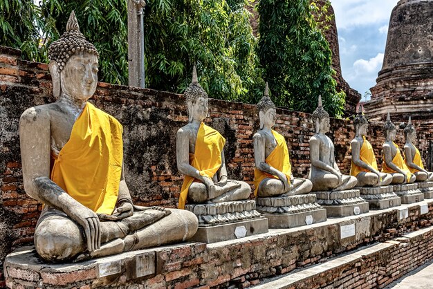 Fila di vecchie statue di Buddha ricoperte di panno giallo