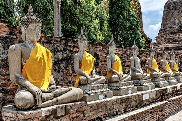 Fila di vecchie statue di Buddha ricoperte di panno giallo