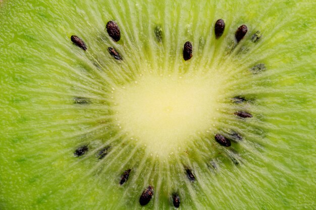 Fine della fetta del kiwi in su