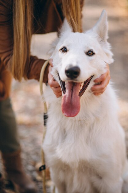 Fine sveglia del cane su che cammina nel parco con il suo proprietario