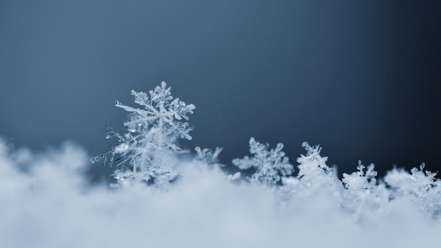 Fiocco di neve. Foto a macroistruzione del vero cristallo di neve. La natura stagionale del bello fondo dell&#39;inverno e il wea
