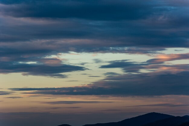 Fiore arancione tramonto cielo. Bel cielo.