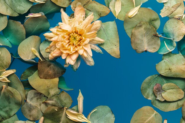 Fiore con foglie in acqua blu