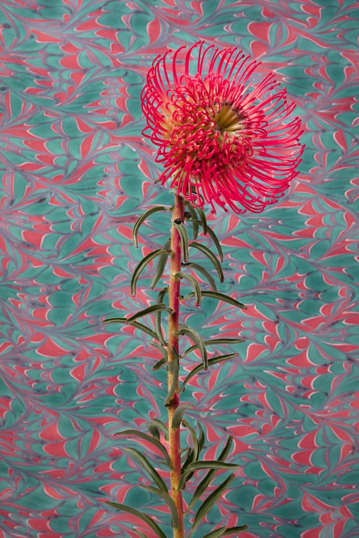 Foto gratuito fiore con un dipinto psichedelico