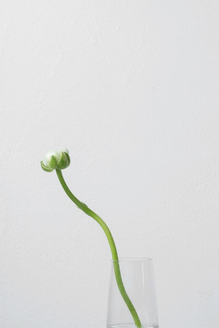 Foto gratuito fiore di natura morta nella disposizione del vaso