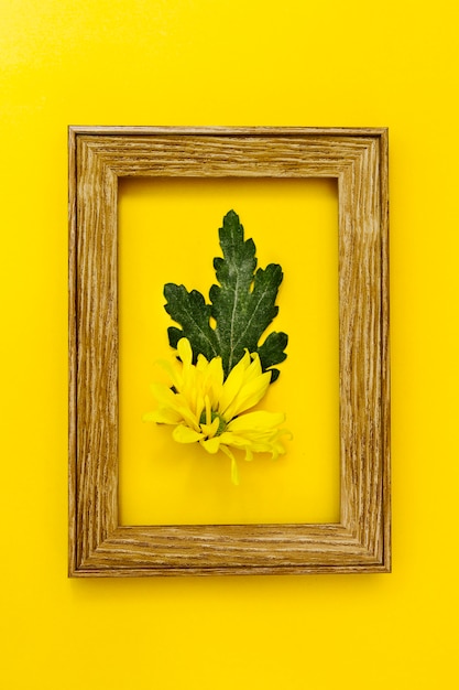 Fiore di vista superiore all&#39;interno del telaio