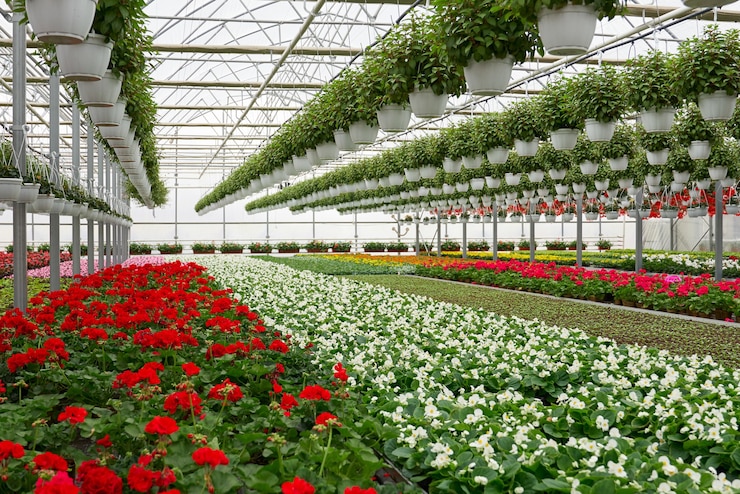 Foto gratuito fiori colorati in una grande serra moderna