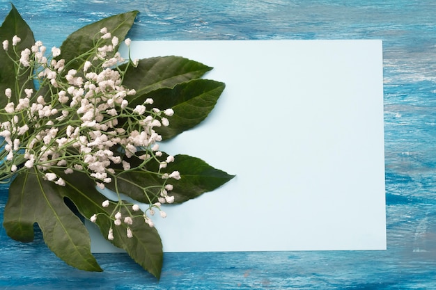 Fiori comuni del baby-breath con le foglie su carta in bianco per testo su fondo strutturato blu