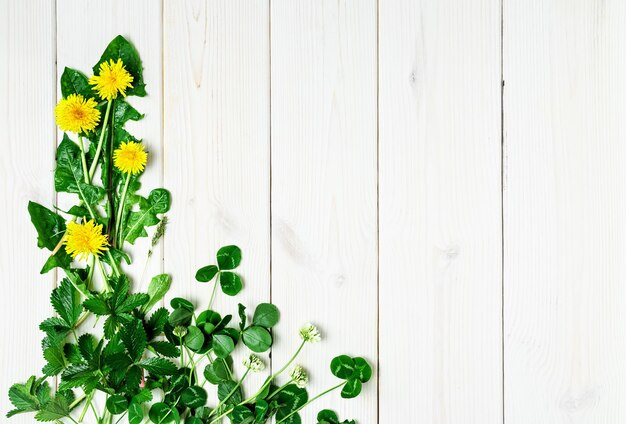 Fiori di campo primaverili su una superficie bianca in legno