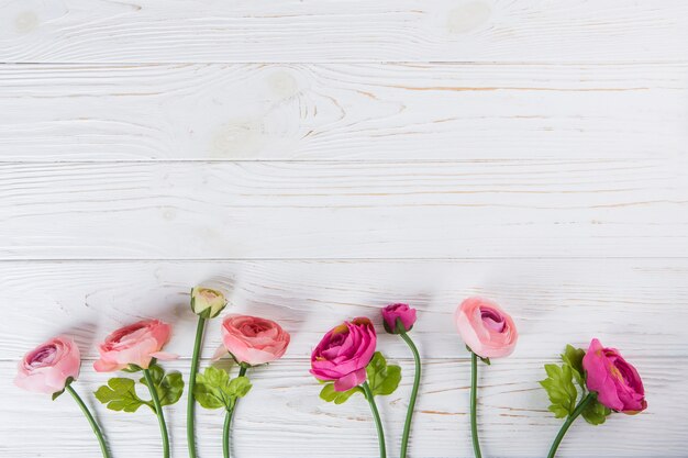 Fiori di rosa rosa sparsi sul tavolo di legno