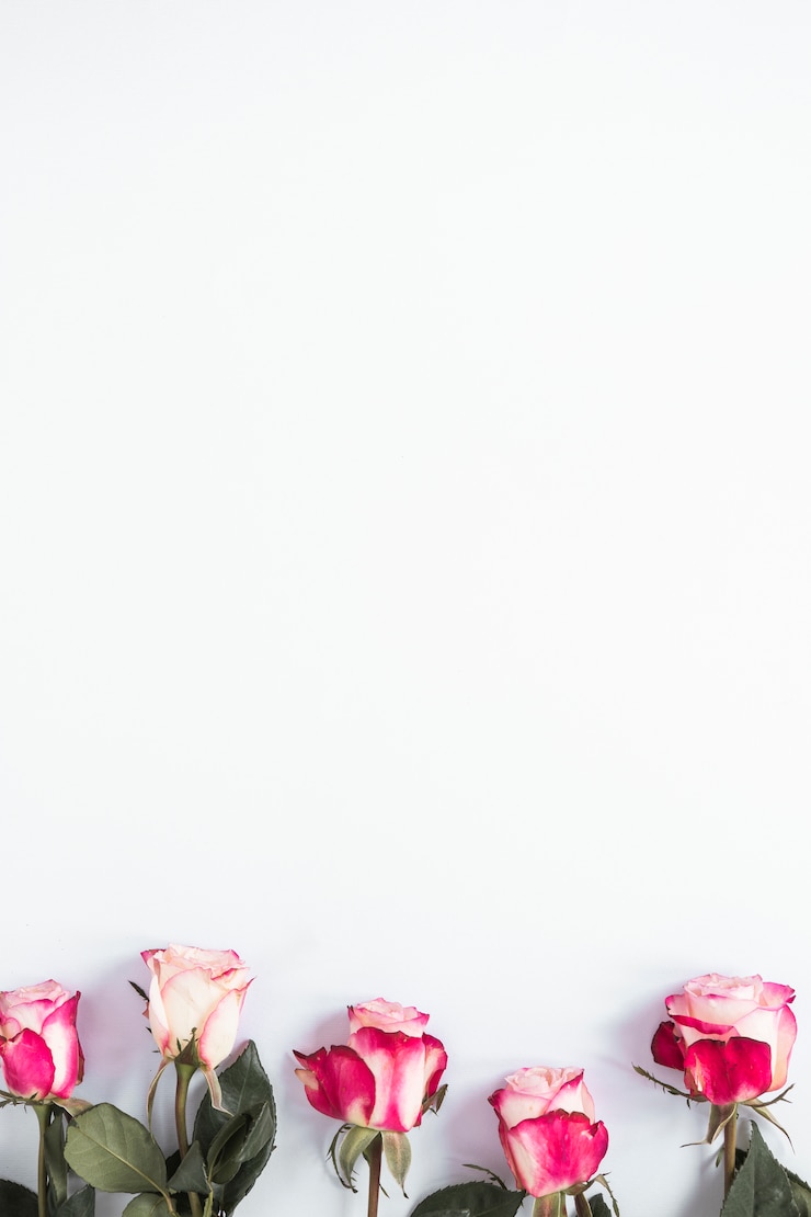 Foto gratuito fiori di rosa rosa sul tavolo luminoso