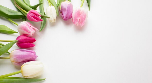 Fiori di tulipani vista dall'alto con lo spazio della copia