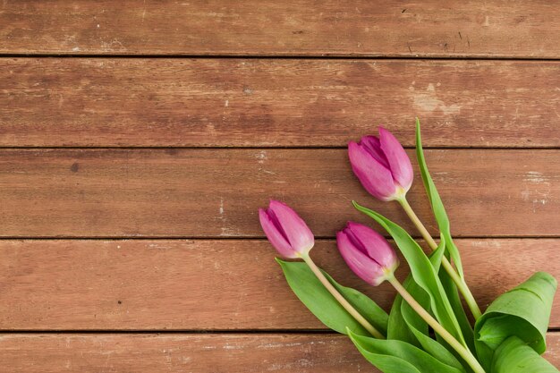 Fiori di vista superiore su fondo di legno con lo spazio della copia