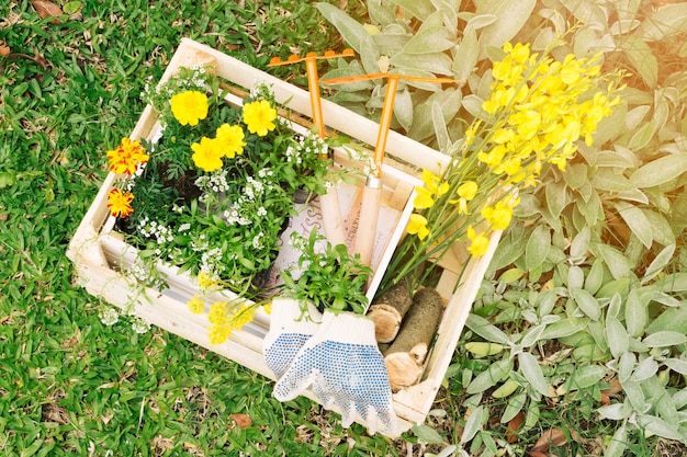 Fiori e attrezzature da giardino in contenitore di legno