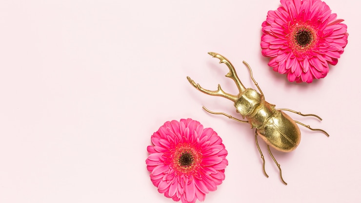 Foto gratuito fiori e coleottero