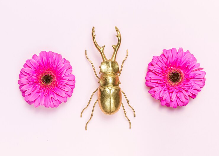 Foto gratuito fiori e coleottero