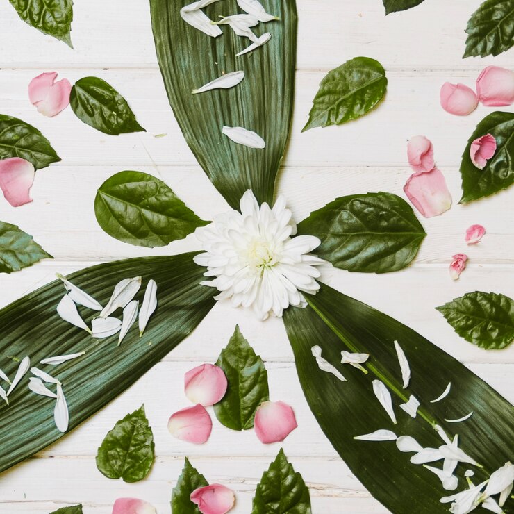 Foto gratuito fiori e petali sulle foglie