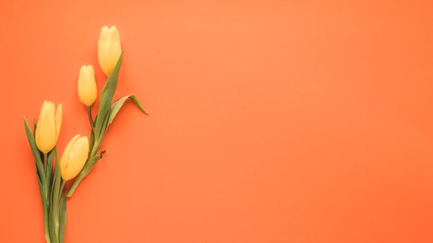 Fiori gialli del tulipano sulla tabella arancione