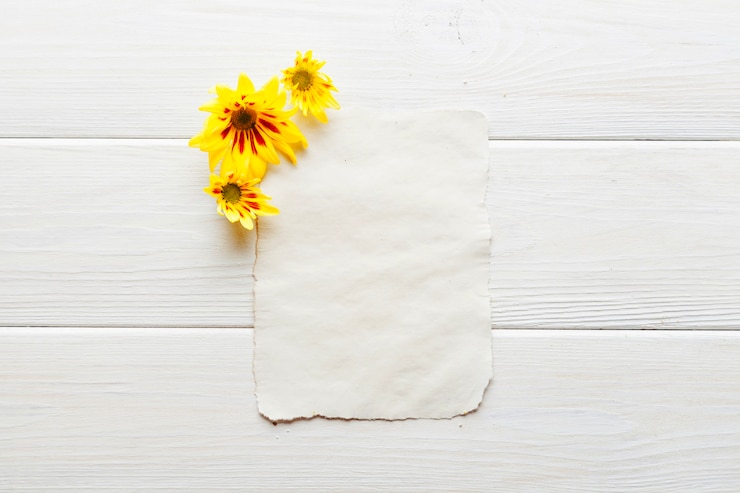 Foto gratuito fiori gialli e pagina