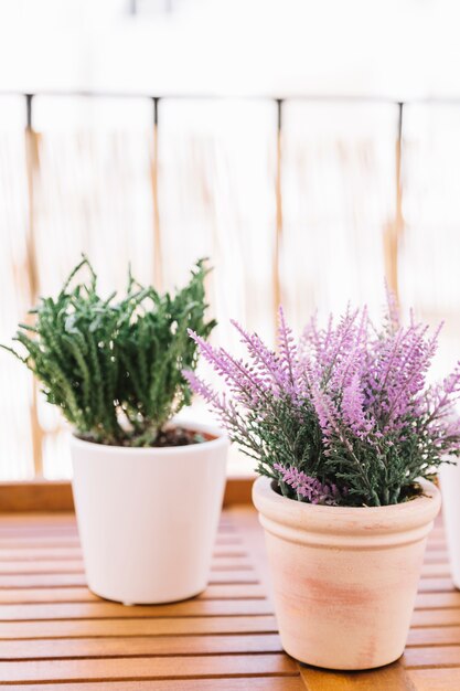 Fiori in un balcone