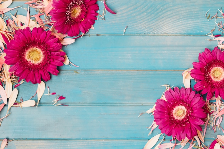 Foto gratuito fiori rosa disposti su petali