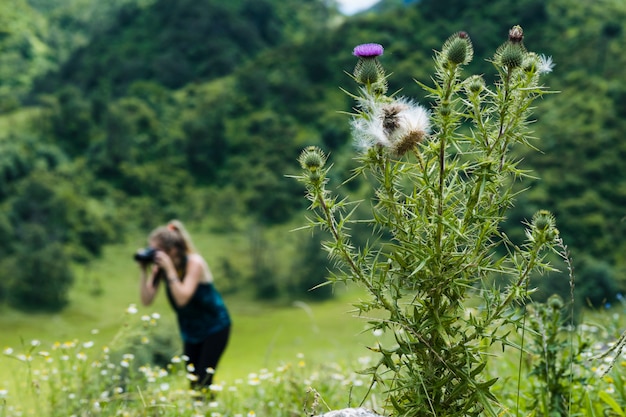 Fiori selvaggi del primo piano con il fotografo nei precedenti