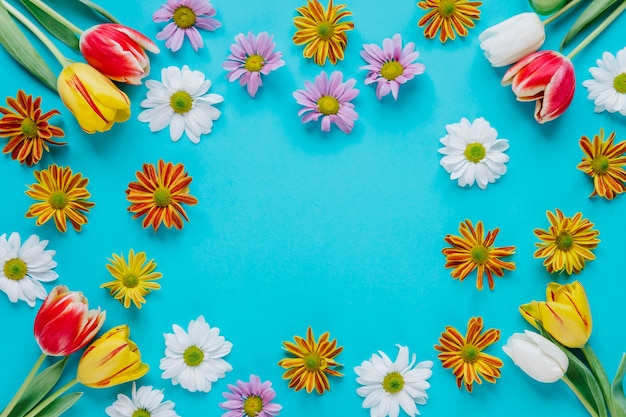 Fiori teneri di fioritura sul blu