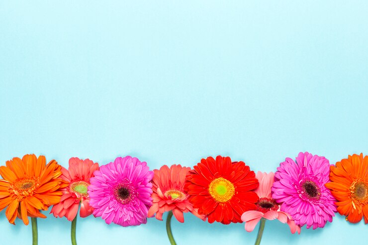 Foto gratuito fiori