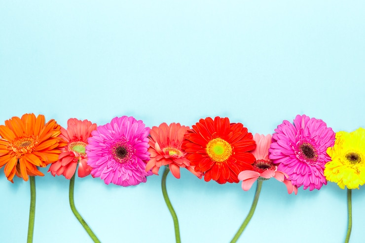 Foto gratuito fiori