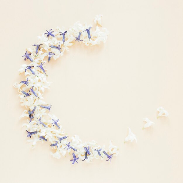 Fiori