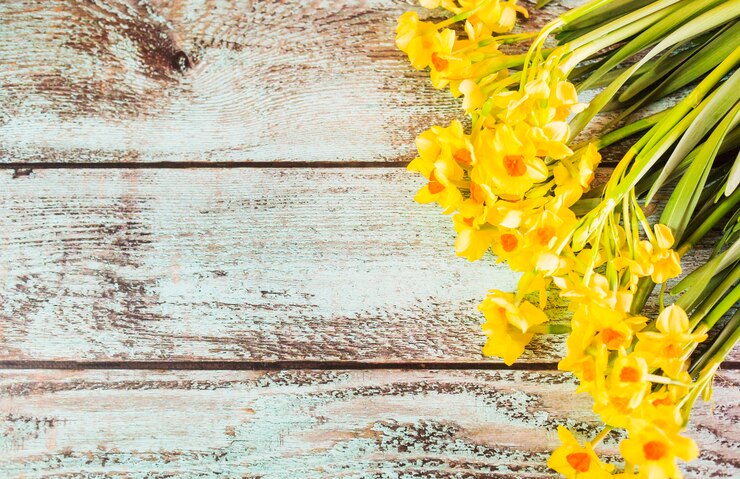 Foto gratuito fiori