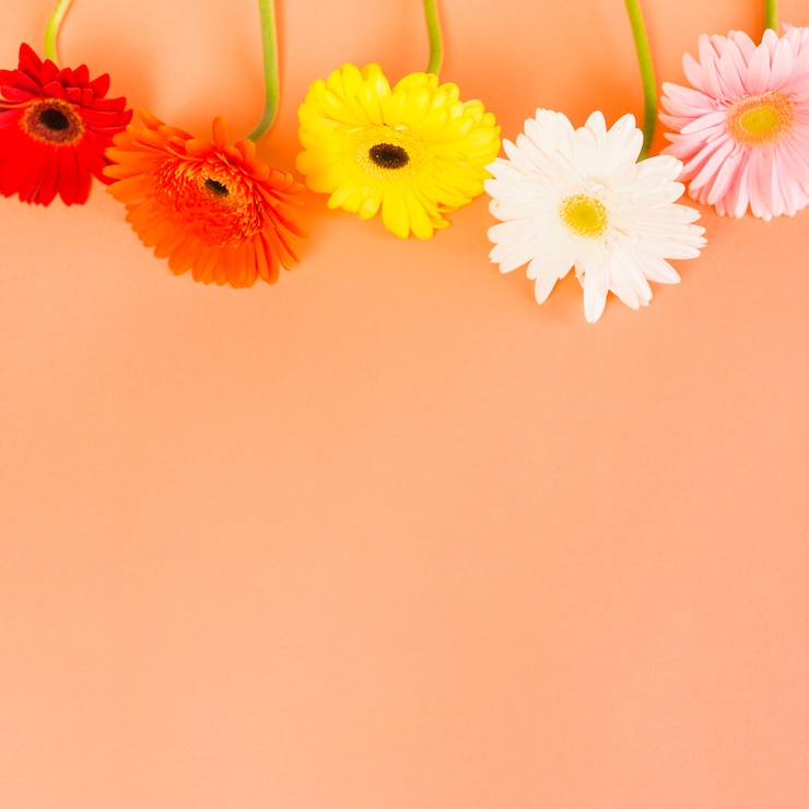 Foto gratuito fiori