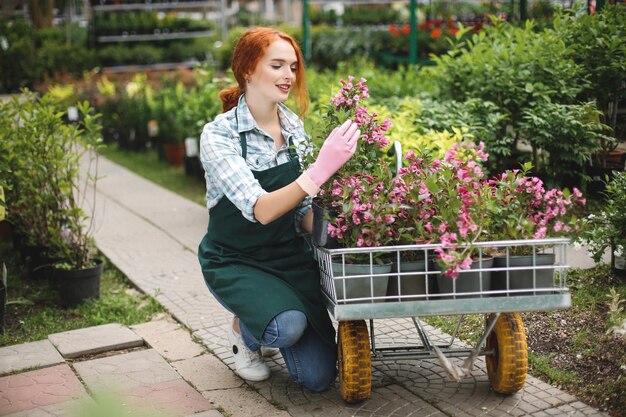 Fiorista abbastanza sorridente in grembiule e guanti rosa che lavora felicemente con i fiori nel carrello da giardino in serra