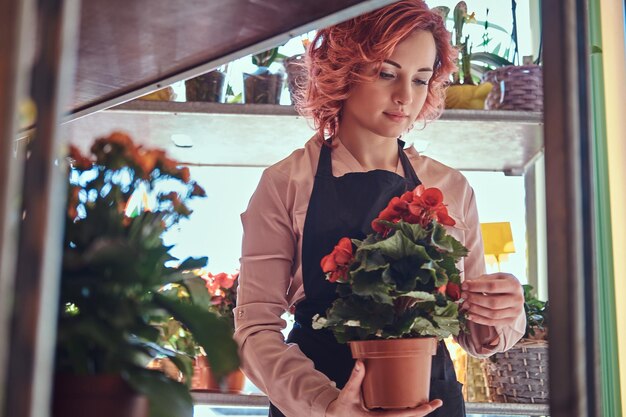 Fiorista femmina bella rossa che indossa uniforme che lavora in un negozio di fiori.