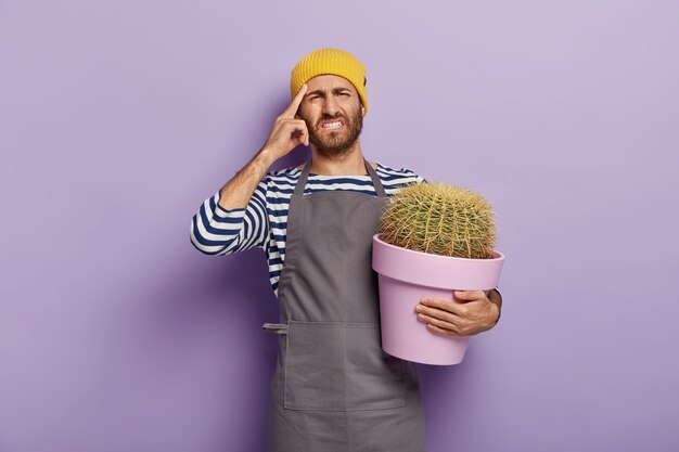 Fiorista maschio infelice ha mal di testa, tocca la tempia con il dito indice, vestito con maglione a righe e grembiule, tiene cactus in vaso