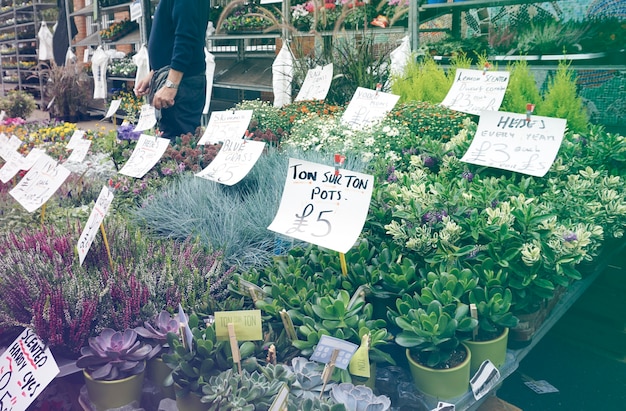 Fioritura piena del negozio di fiore sul mercato