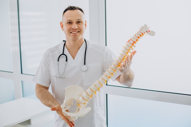 Fisioterapista delle vertebre che tiene la colonna vertebrale artificiale