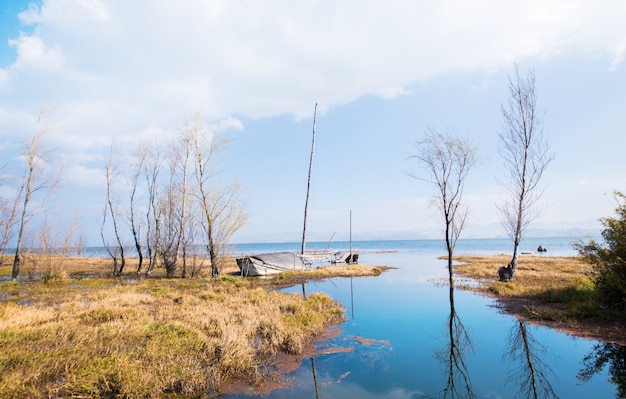 Fiume attraverso il campo