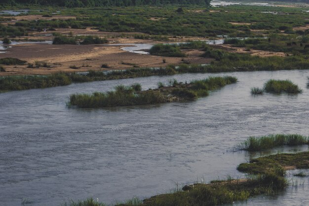 Fiume Bharatha con poca acqua e erba verde