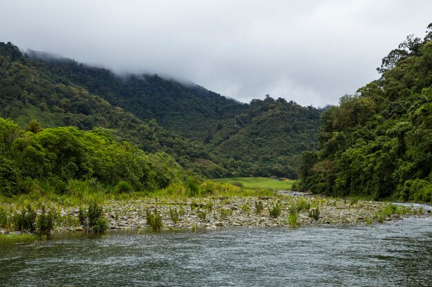 Fiume che scorre lentamente nella foresta pluviale tropicale in Costa Rica