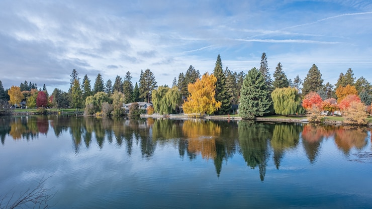Foto gratuito fiume circondato da fiori in autunno durante il giorno