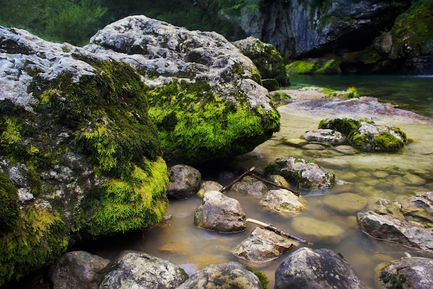 Fiume circondato da rocce ricoperte di muschi sotto la luce del sole a Bovec in Slovenia