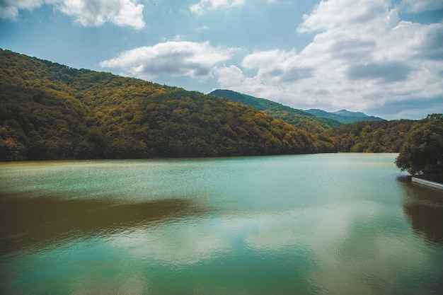 Fiume con una foresta