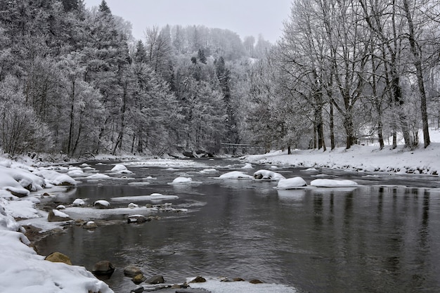 Fiume innevato e alberi durante il giorno