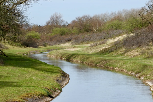 Fiume stretto in una terra verde con molti alberi